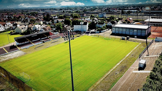 將成為關鍵 將成為關鍵