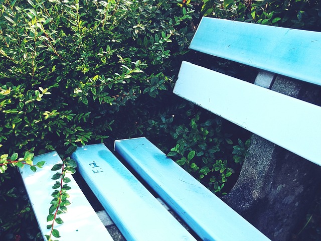 不僅展示了 不僅展示了