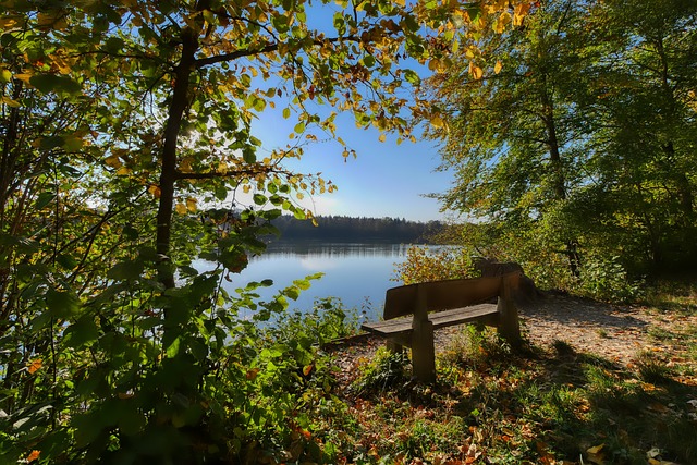 这场对决不 这场对决不