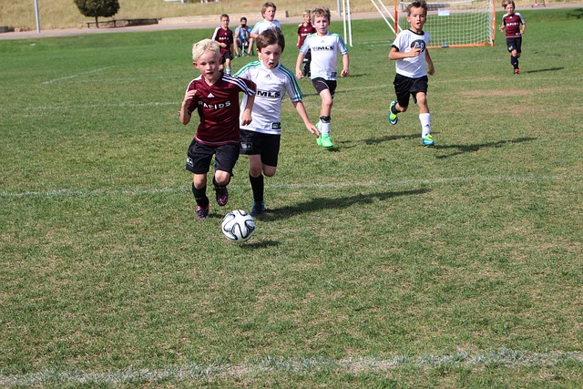 养老环境 养老环境