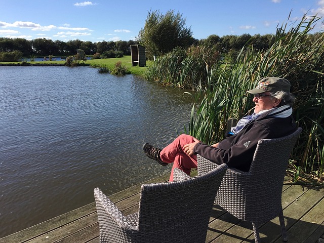 分析与展望 分析与展望