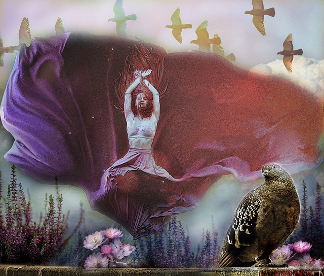 育界的焦点 育界的焦点