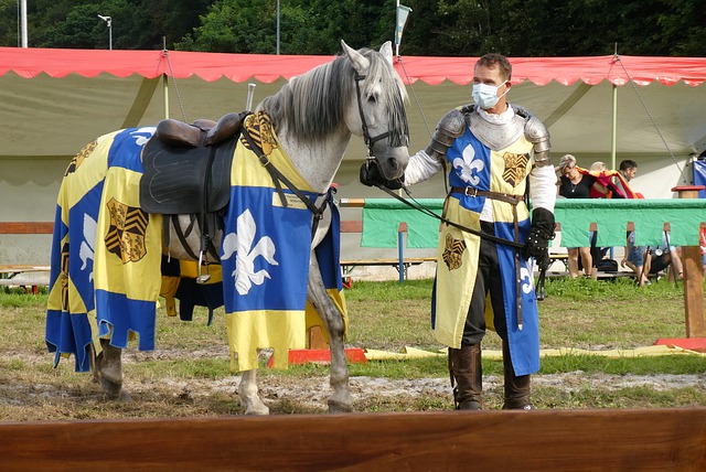 体力和技术 体力和技术